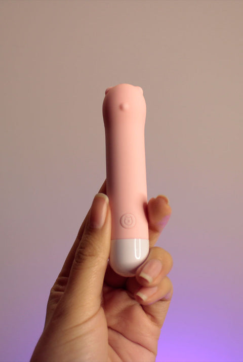 Teddy - Balita Vibradora